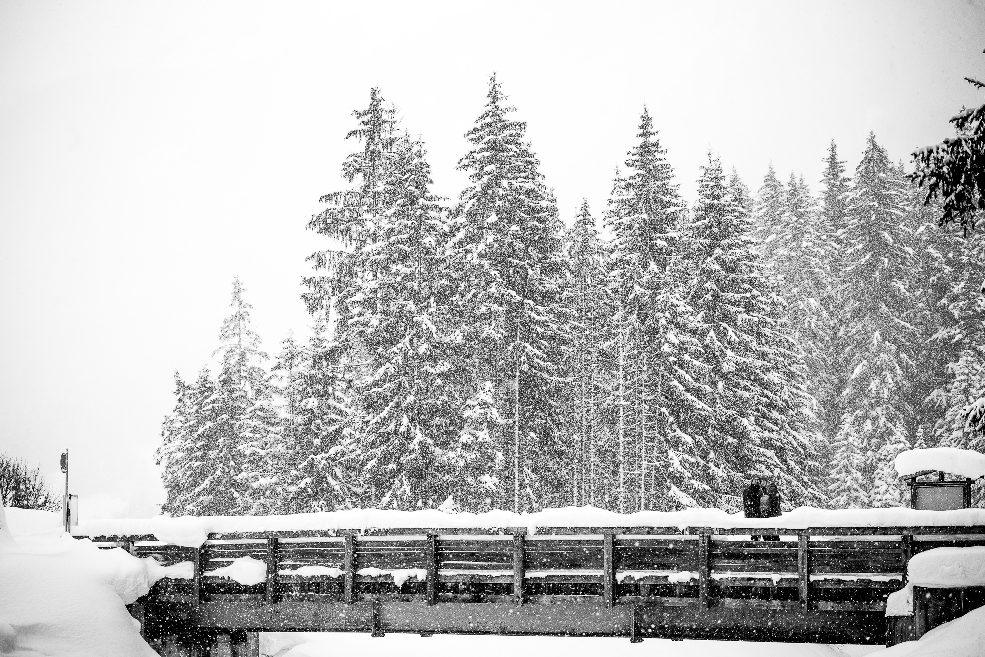 Export x3 1DX29452 Verlobungsfotoshooting 2018 Anna & Dominik 4